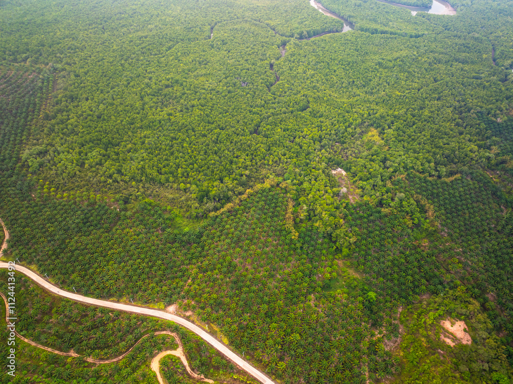 Aerial view Tropical Rainforest trees mountains,Top view green forest background Aerial view Tropical Rainforest trees mountains,Top view green forest background