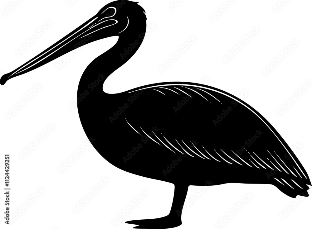 Fototapeta premium A sleek silhouette of a pelican standing gracefully, showcasing its long beak and distinctive body shape.