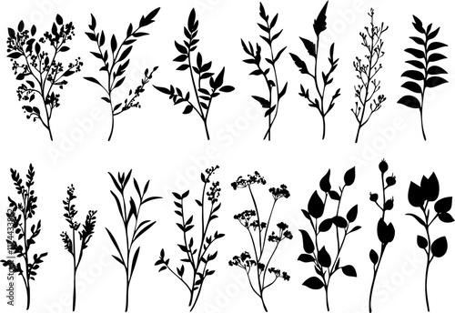 A collection of floral silhouettes featuring various plants and flowers, perfect for botanical designs and creative projects.