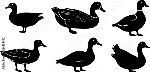 A collection of five black duck silhouettes, showcasing various poses and characteristics of these waterfowl animals.