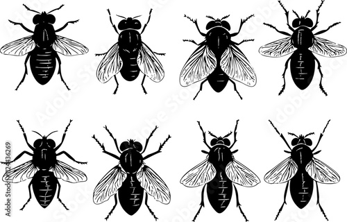 A collection of eight detailed black and white bee illustrations, showcasing various angles and designs of these important pollinators.