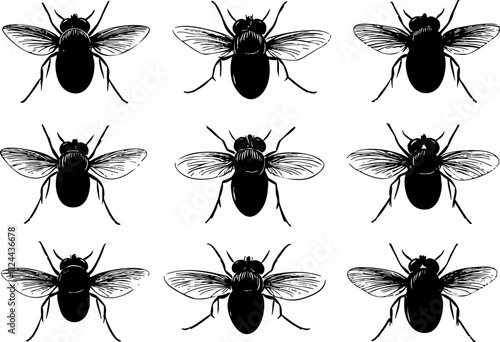 A detailed vector illustration of nine bees arranged in a grid, showcasing their distinct features and wing structure.