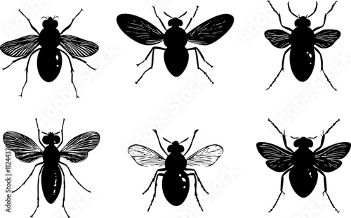 A collection of six black silhouettes of various insect species, showcasing detailed wings and body structures.