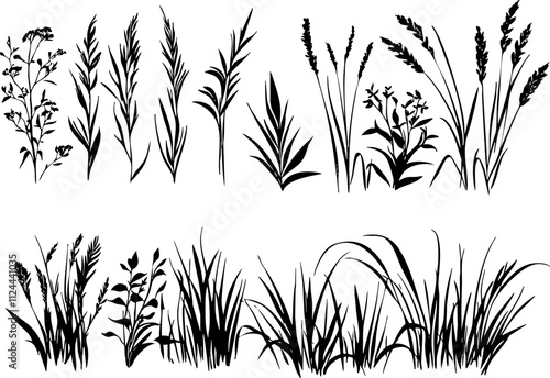 A collection of black silhouettes of various grasses and wildflowers, perfect for botanical illustrations or design elements.