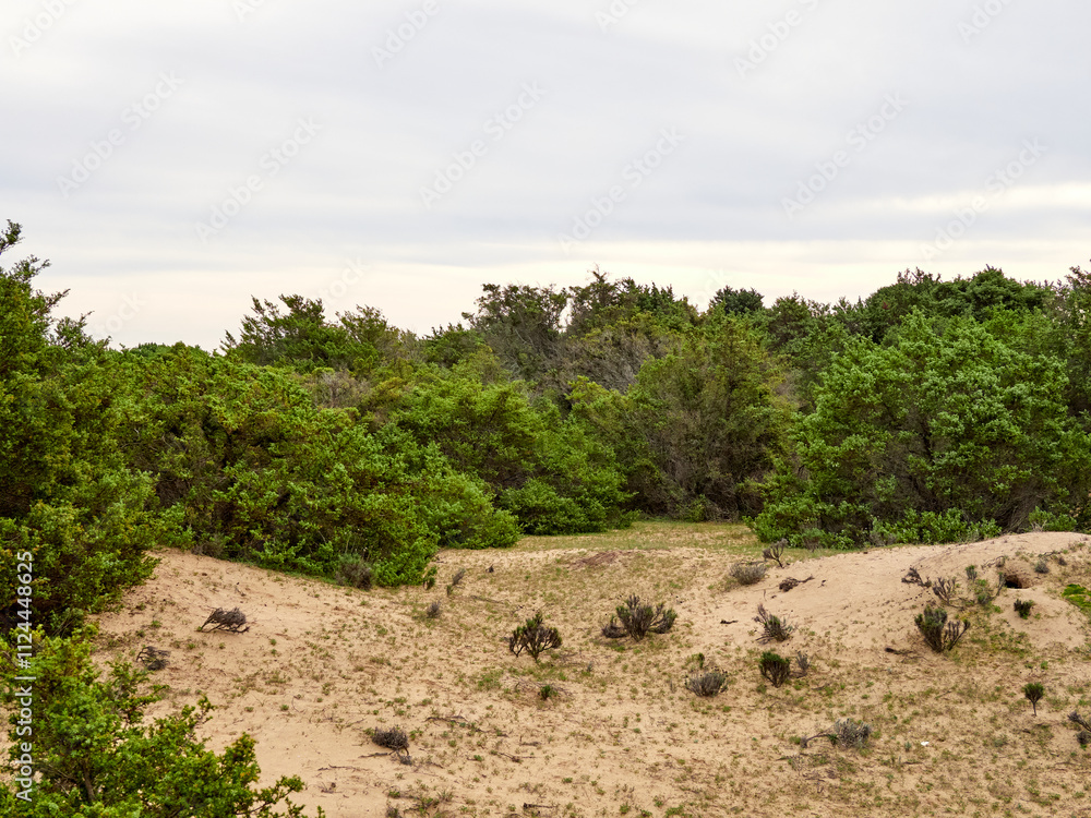 Doñana National Park. Ecosystems that host a unique biodiversity in Europe. The marsh stands out above all. It is one of the most important protected areas in Andalusia Doñana National Park. Ecosystems that host a unique biodiversity in Europe. The marsh stands out above all. It is one of the most important protected areas in Andalusia