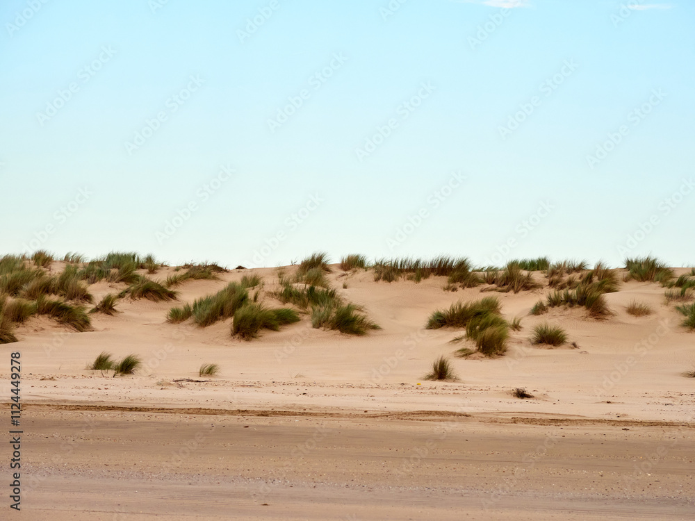 Doñana National Park. Ecosystems that host a unique biodiversity in Europe. The marsh stands out above all. It is one of the most important protected areas in Andalusia Doñana National Park. Ecosystems that host a unique biodiversity in Europe. The marsh stands out above all. It is one of the most important protected areas in Andalusia