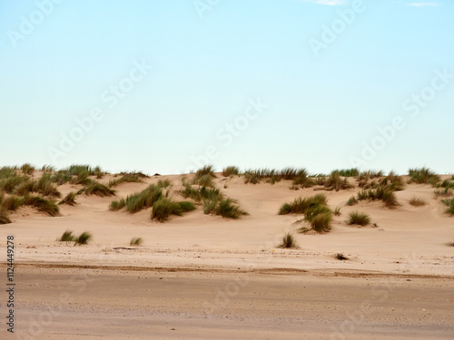 Doñana National Park. Ecosystems that host a unique biodiversity in Europe. The marsh stands out above all. It is one of the most important protected areas in Andalusia 