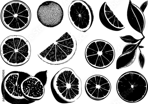 A collection of black and white illustrations of various citrus fruits, showcasing slices and whole fruits with leaves.