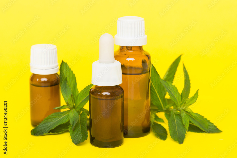 Natural Mint Essential Oil in a Glass Bottle. organic cosmetics with herbal extracts of mint on colored background Natural Mint Essential Oil in a Glass Bottle. organic cosmetics with herbal extracts of mint on colored background