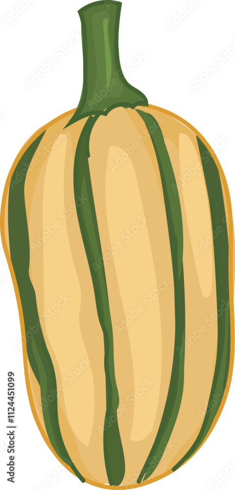 Striped delicata squash illustration with green stem. Striped delicata squash illustration with green stem.