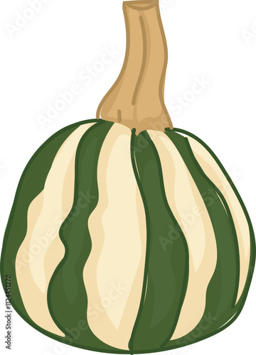 Striped delicata squash illustration with green stem.