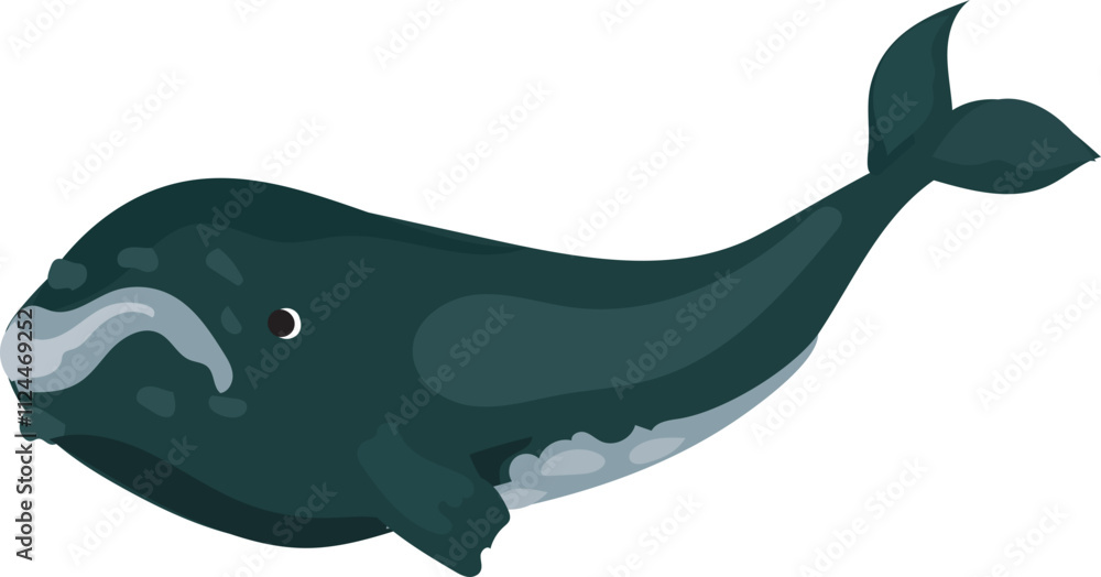 Cartoon Illustration of a Bowhead Whale. Cartoon Illustration of a Bowhead Whale.