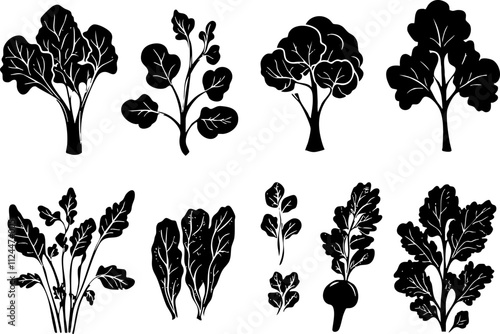 A collection of black silhouette illustrations of various leafy vegetables and herbs suitable for organic and farm-related themes.