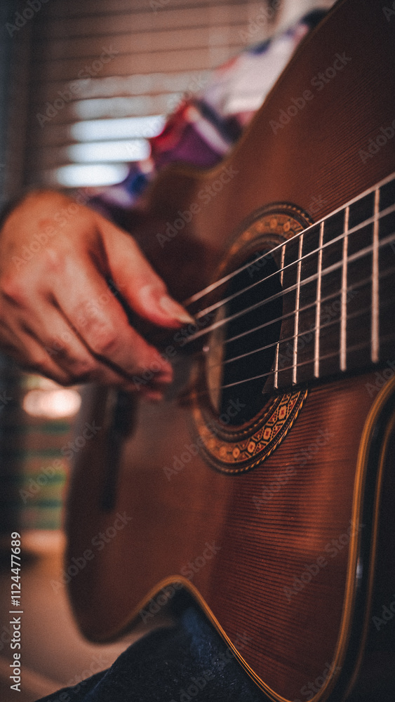Fototapeta premium musician playing the guitar