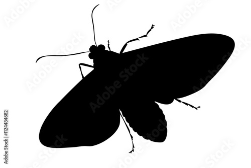 A detailed silhouette illustration of a moth, showcasing its distinctive wings and antennae, ideal for nature-themed designs.