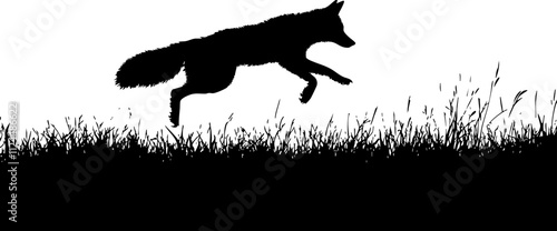 A striking silhouette of a fox running through tall grass against a white background, symbolizing freedom and agility.