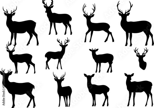 A collection of black silhouettes of deer in various poses, showcasing both male and female forms, suitable for graphic design.