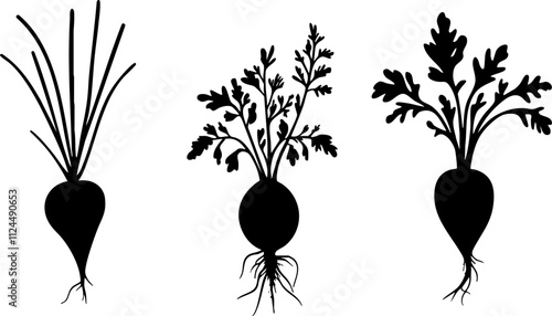 Three silhouettes of root vegetables showcasing different shapes and greens, ideal for organic food or gardening themes.