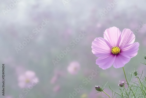 Bee collect pollen from pink flower (Cosmos bipinnatus). Close-up. Side view. Beautiful simple AI generated image