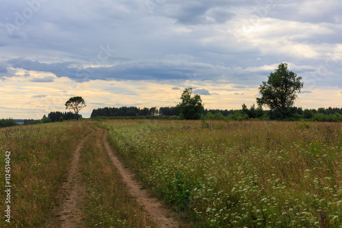 Summer evening, road in a field, Vologda region, Veliky Ustyug district