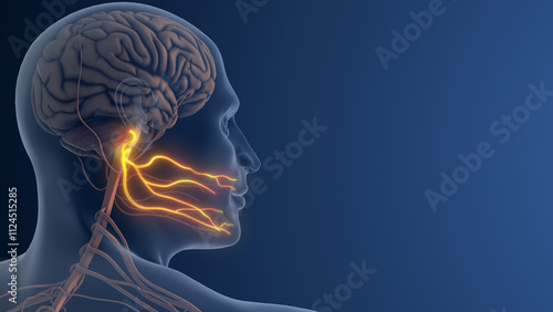 Facial Nerve Pain or Trigeminal Neuralgia