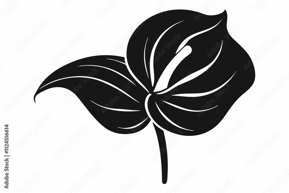 Obraz premium Anthurium flower silhouette black color vector illustration 