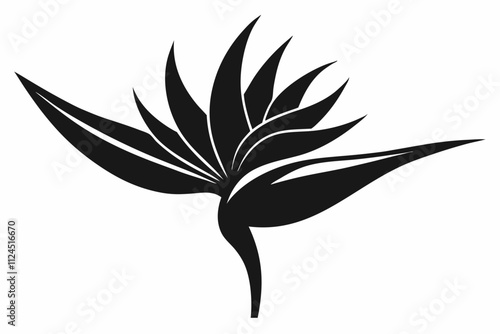 Bird of Paradise flower silhouette black color vector illustration