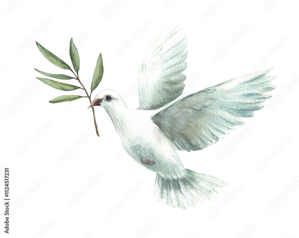 Obraz premium Watercolor Pigeon with olive tree branch White flying dove bird, symbol of peace. Realistic style hand drawn illustration for religious card, Baptism, first communion. Isolated from background clipart