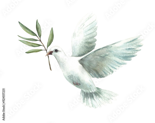 Watercolor Pigeon with olive tree branch White flying dove bird, symbol of peace. Realistic style hand drawn illustration for religious card, Baptism, first communion. Isolated from background clipart