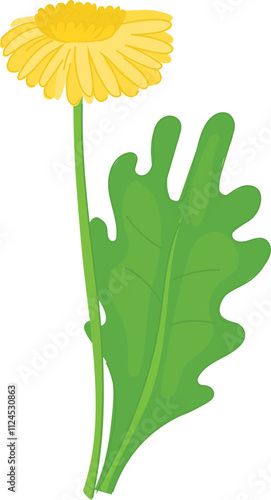 Illustration of Dandelion Flower with Leaf.