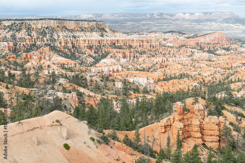 Hoodoos in Bryce Canyon National Park, Utah, USA Hoodoos in Bryce Canyon National Park, Utah, USA