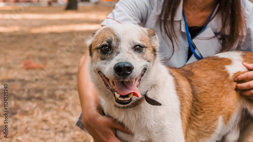 grinning dog in the arms of smiling veterinarian woman in a white coat and badge on an autumn lawn