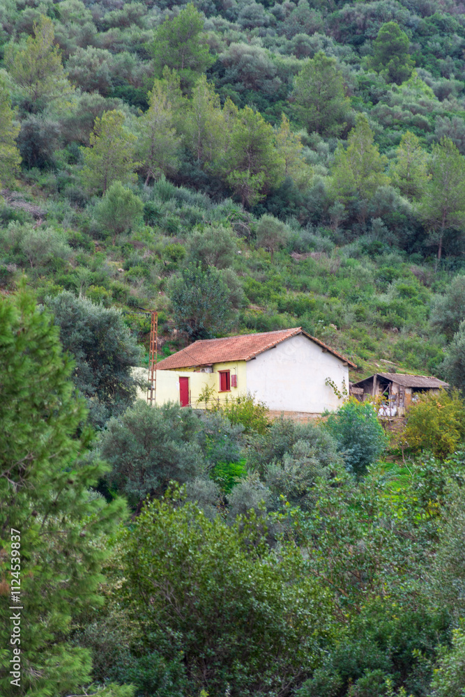 Small house in the forest in Tizi Ouzou, Algeria Small house in the forest in Tizi Ouzou, Algeria