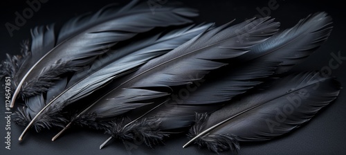 Elegant abstract wallpaper header featuring dark black feather texture for visual appeal photo