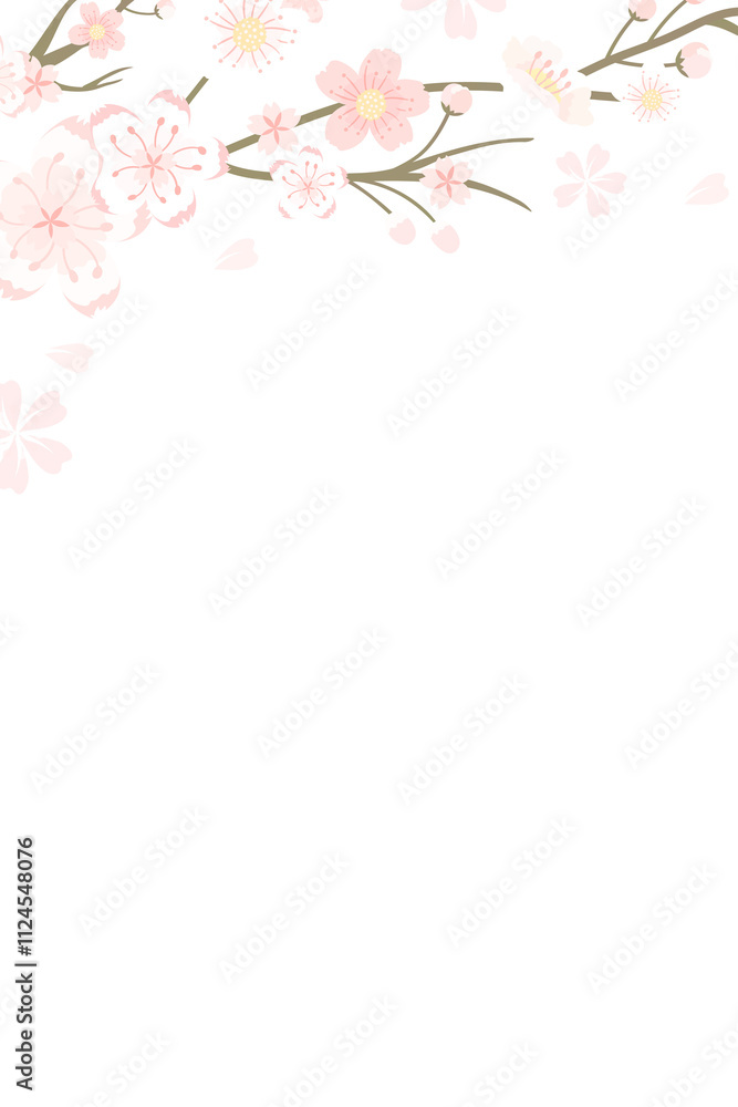 Png Japanese cherry blossom transparent background Hanami festival