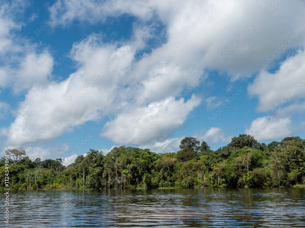 Fototapeta premium Amazon river landscape with rainforest.