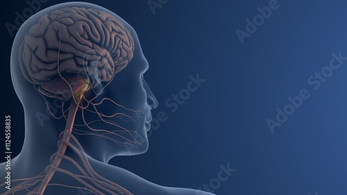 Facial Nerve Pain or Trigeminal Neuralgia
