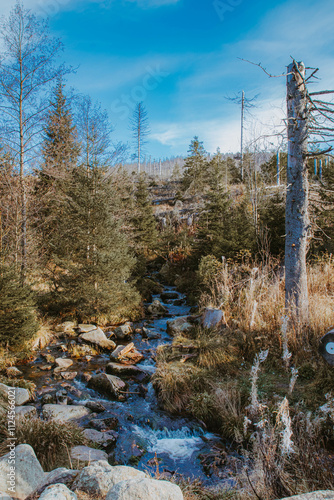 Idyllic Mountain Landscape with Serene Sky