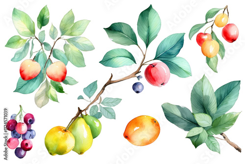 Branches with fruits and leaves on an isolated, watercolor botanical painting. Set garden fruits, Generative AI photo