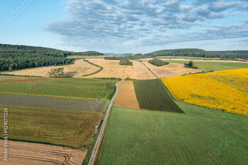 Aerial view of rural landscape with dirt road through agricultural fields with crop, summer. photo