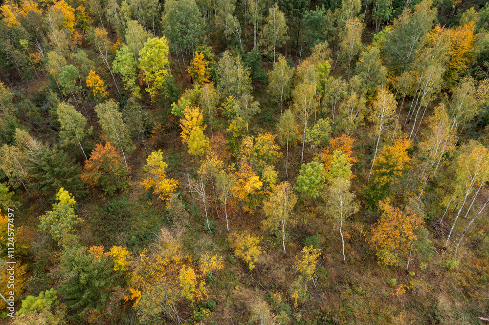 Aerial view of forest in autumn in Steigerwald, Franconia, Bavaria, Germany. Aerial view of forest in autumn in Steigerwald, Franconia, Bavaria, Germany.
