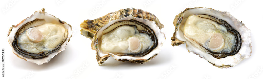 Fresh opened oyster on white background Fresh opened oyster on white background