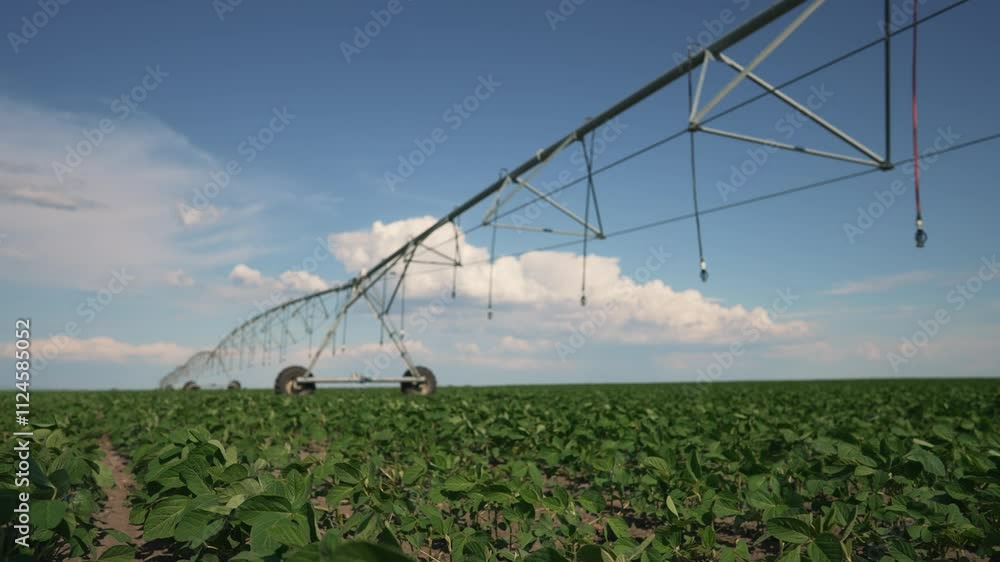 Agronomy irrigation system action. Efficient irrigation system boosts crop yield. agronomy techniques enhance irrigation efficiency. Sustainable farming technology. Irrigation system supports agronomy