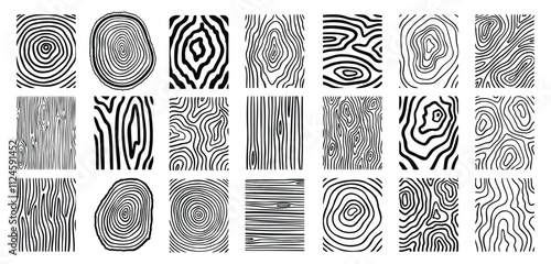 Wood lines texture material doodle hand drawn line set. Rings and circles tree trunk geometric curve, wave contour. 