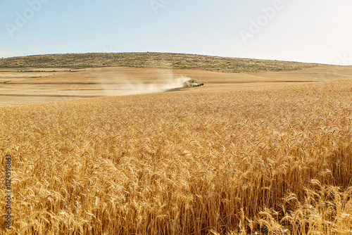 Combine harvester moving in wheat field on sunny day photo