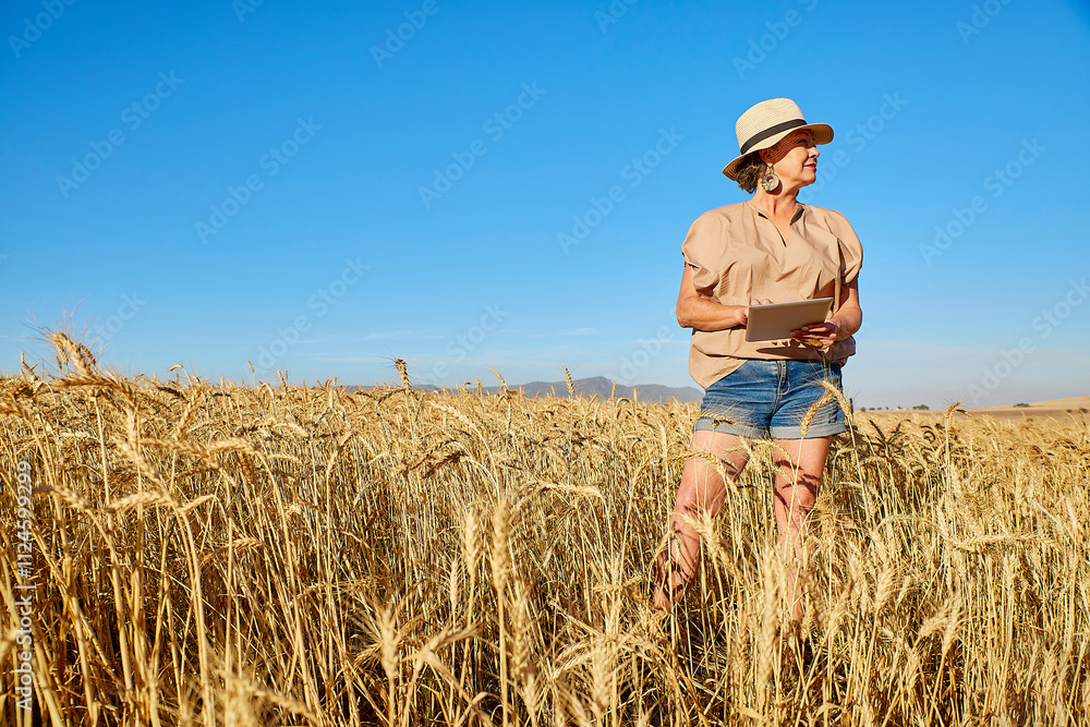 Mature rancher with tablet PC looking in wheat field Mature rancher with tablet PC looking in wheat field