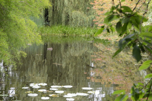 Lakes at Cambridge Botanic Gardens