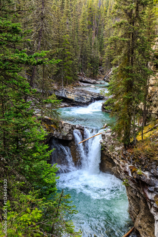 Naklejka premium A waterfall is flowing down a rocky river