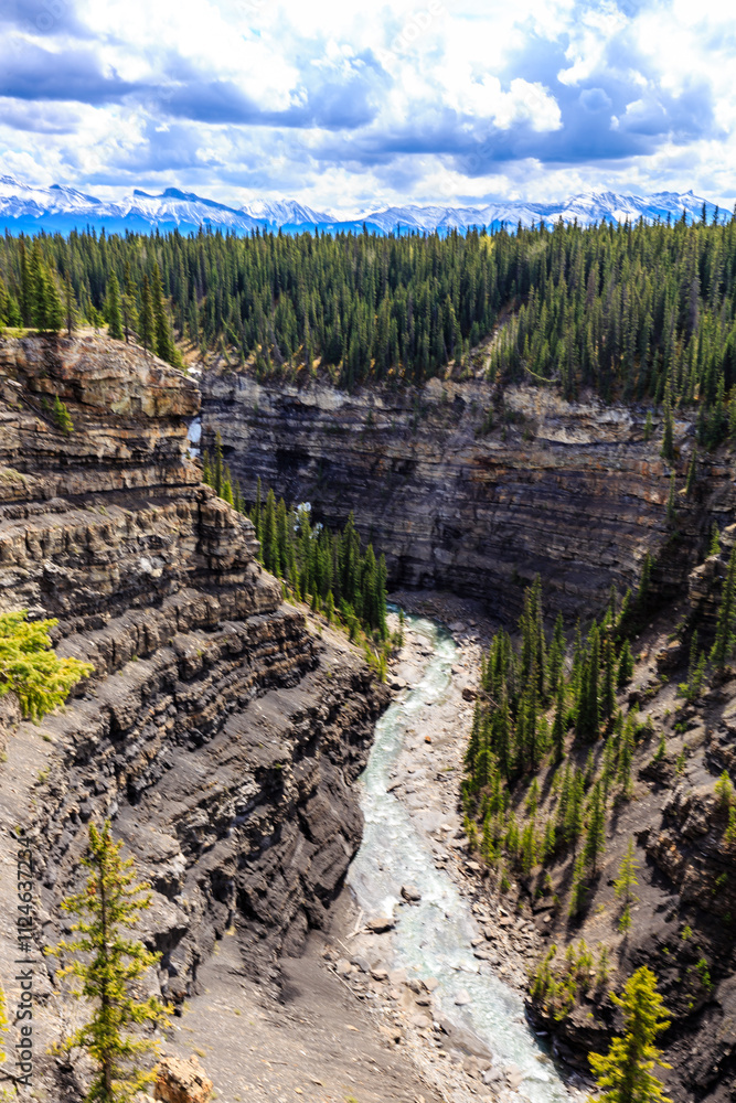 Fototapeta premium A river runs through a canyon with trees on either side