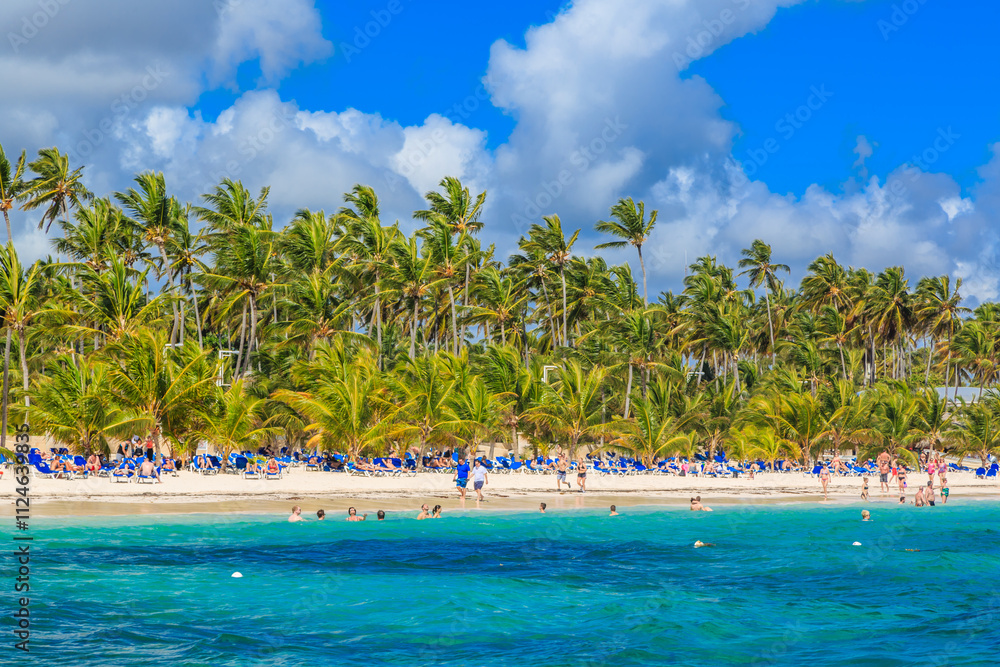 Obraz premium A beach with palm trees and people enjoying the water